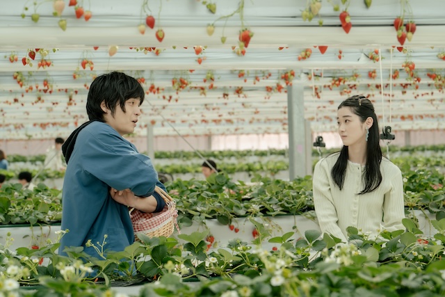 『冬のさ春のね』文菜×ゆきおの関係に決着の画像