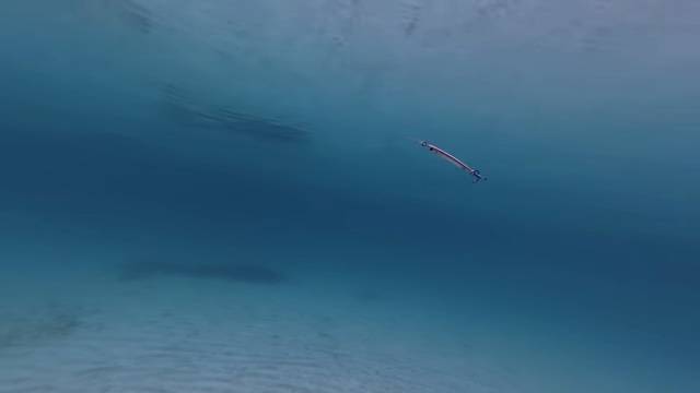 釣り系YouTuberが紹介したダイソーの『メタルジグマイクロ』