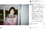 浜辺美波、愛犬とふわふわな撮影ショットの画像
