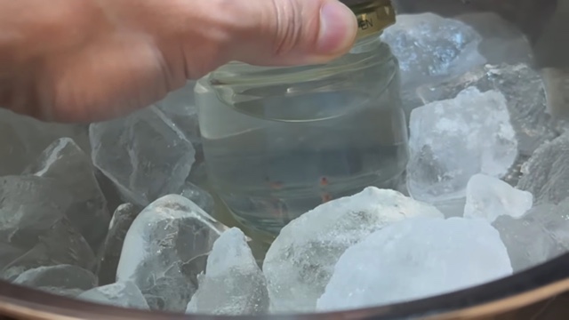 エマスちゃんねるが育てているクリオネ