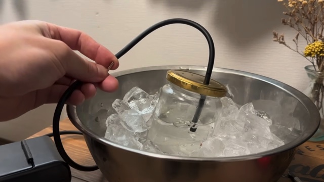 エマスちゃんねるが育てているクリオネ