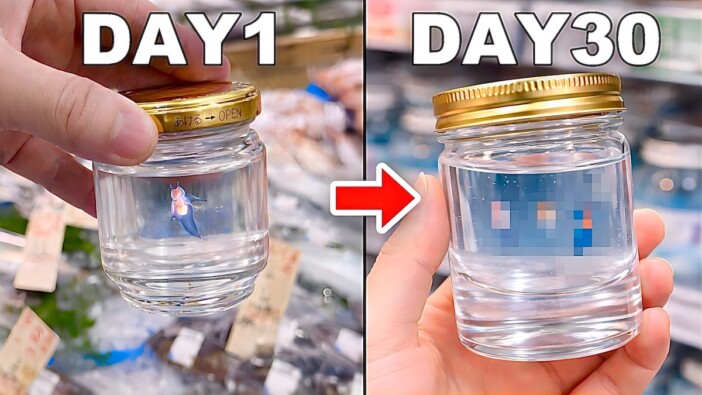 生き物系YouTuber、スーパーで買ったクリオネを育てる　特殊な飼育環境に注目集まる「衝撃」