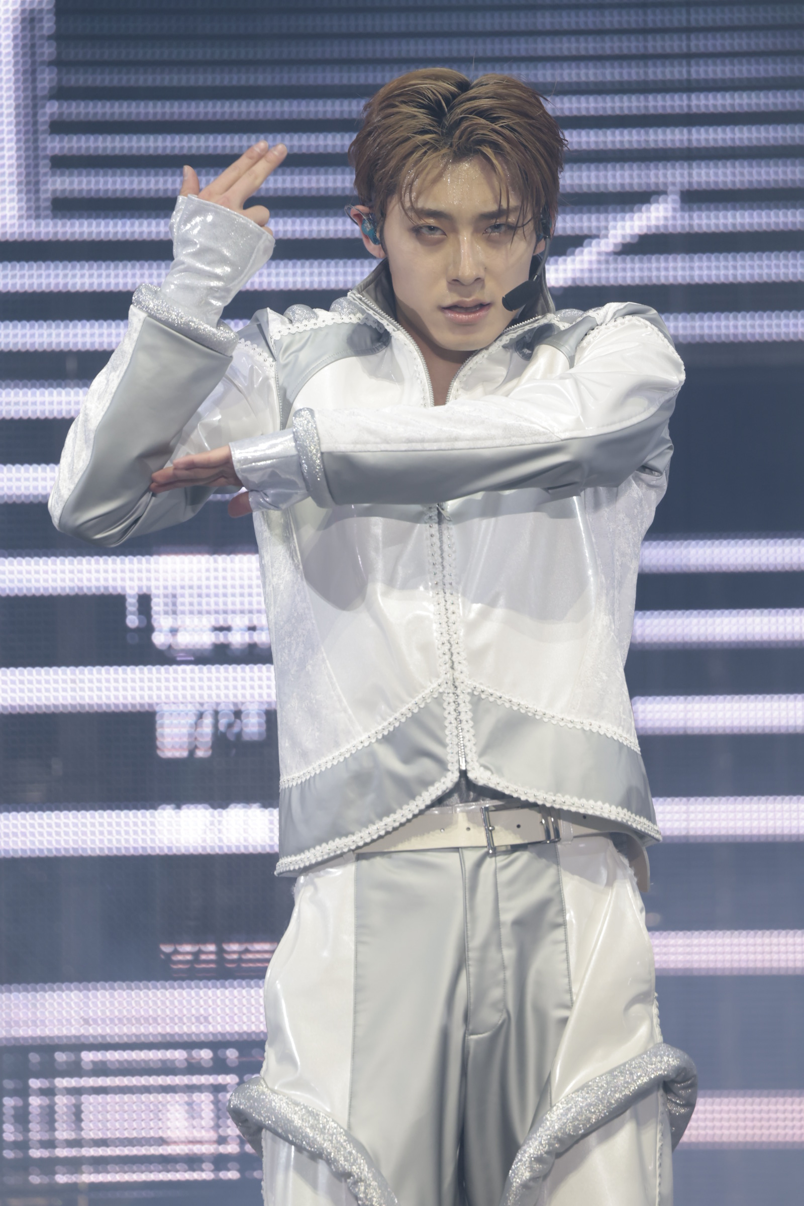 アロハ（撮影＝米山三郎、笹森健一）