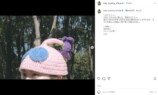 小芝風花が手編みピクミン帽子をお披露目の画像
