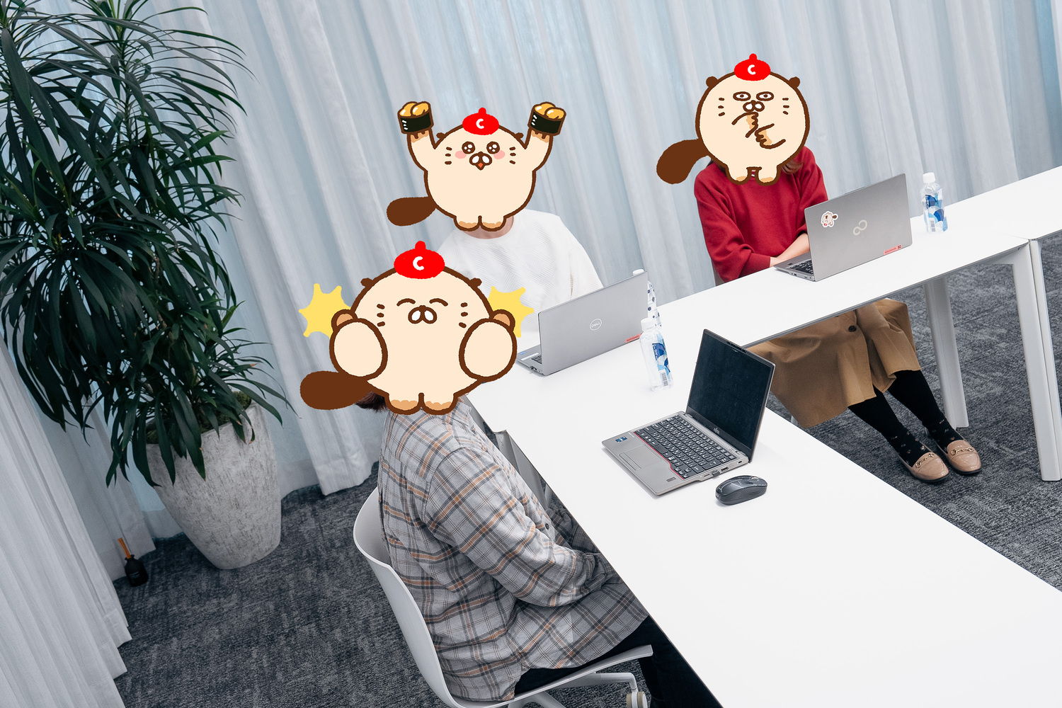 comicoのBLはなぜ強い？　編集部が語るの画像