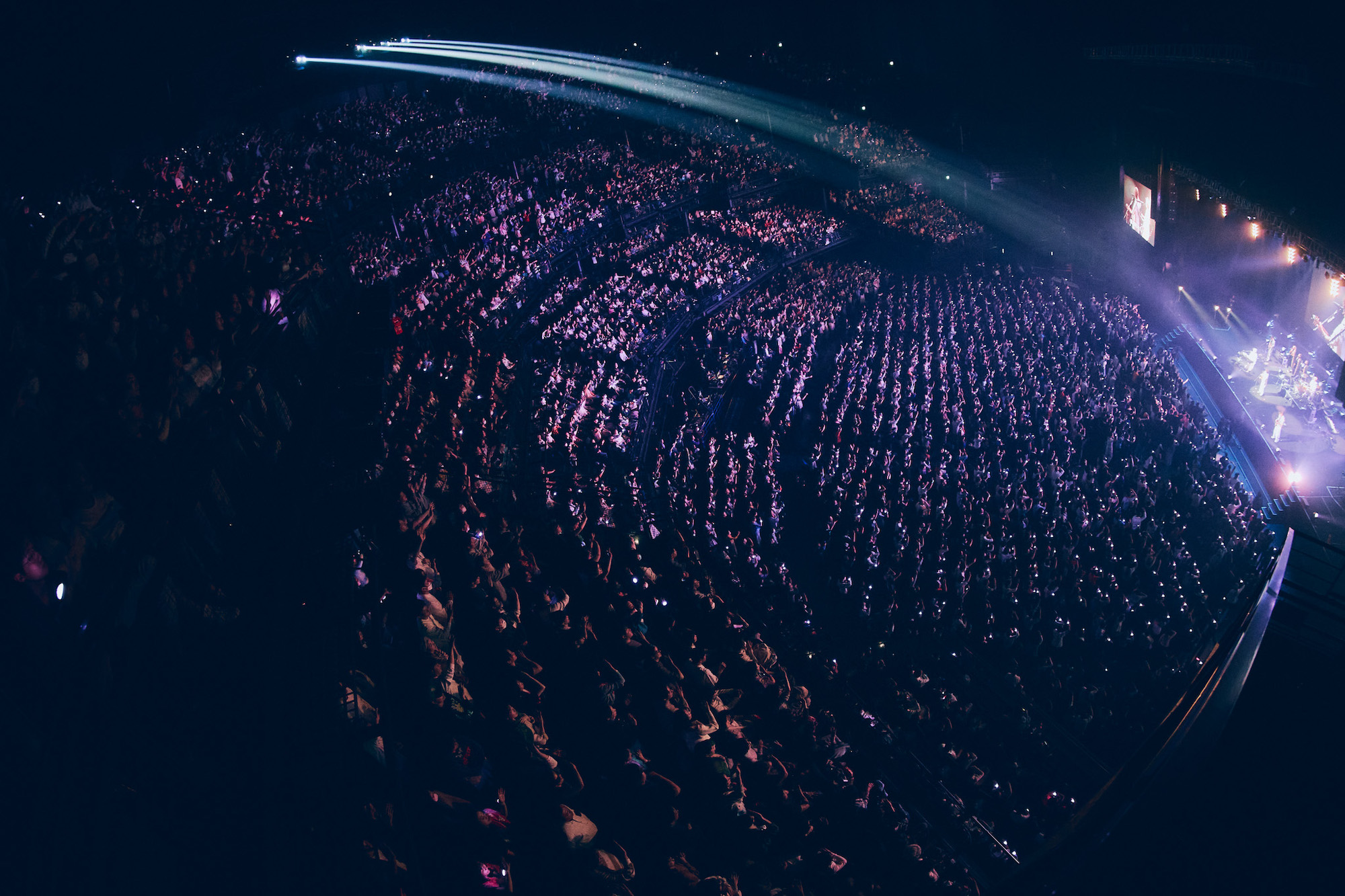 HY(撮影=山川哲矢)