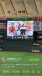 fav me 川岸瑠那＆丸山蘭奈、野球観覧の画像