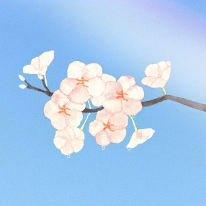 茉ひる「天気雨」ジャケット