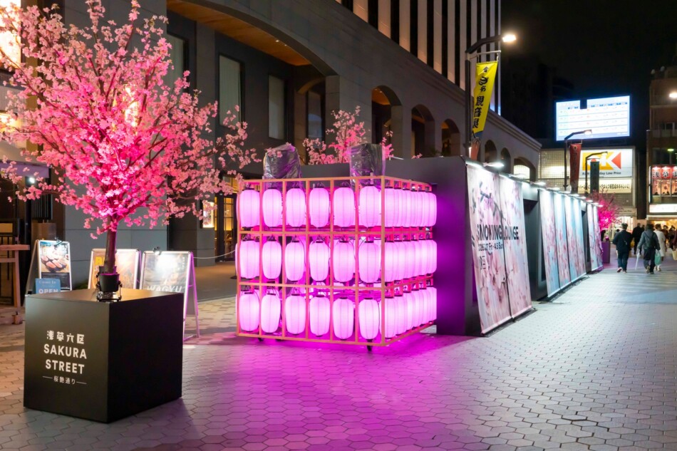 桜色の提灯が並ぶ