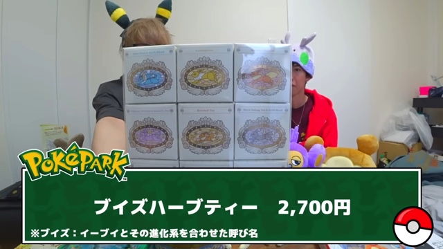 スカイピースが紹介した『ポケパーク カントー』のグッズ