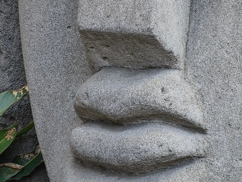 光学5倍ズーム　検証