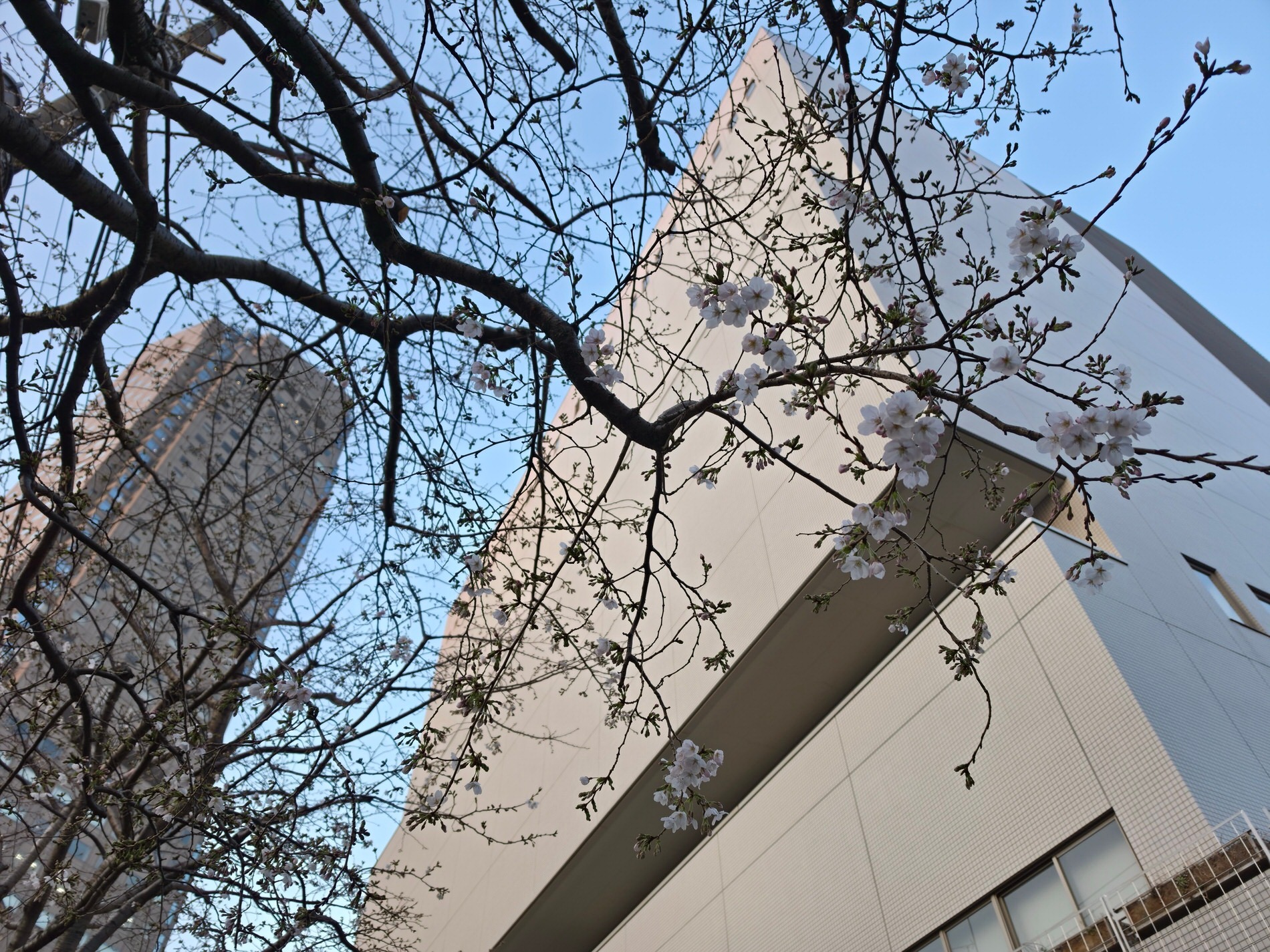 『Galaxy S26 Ultra』実機レビューの画像