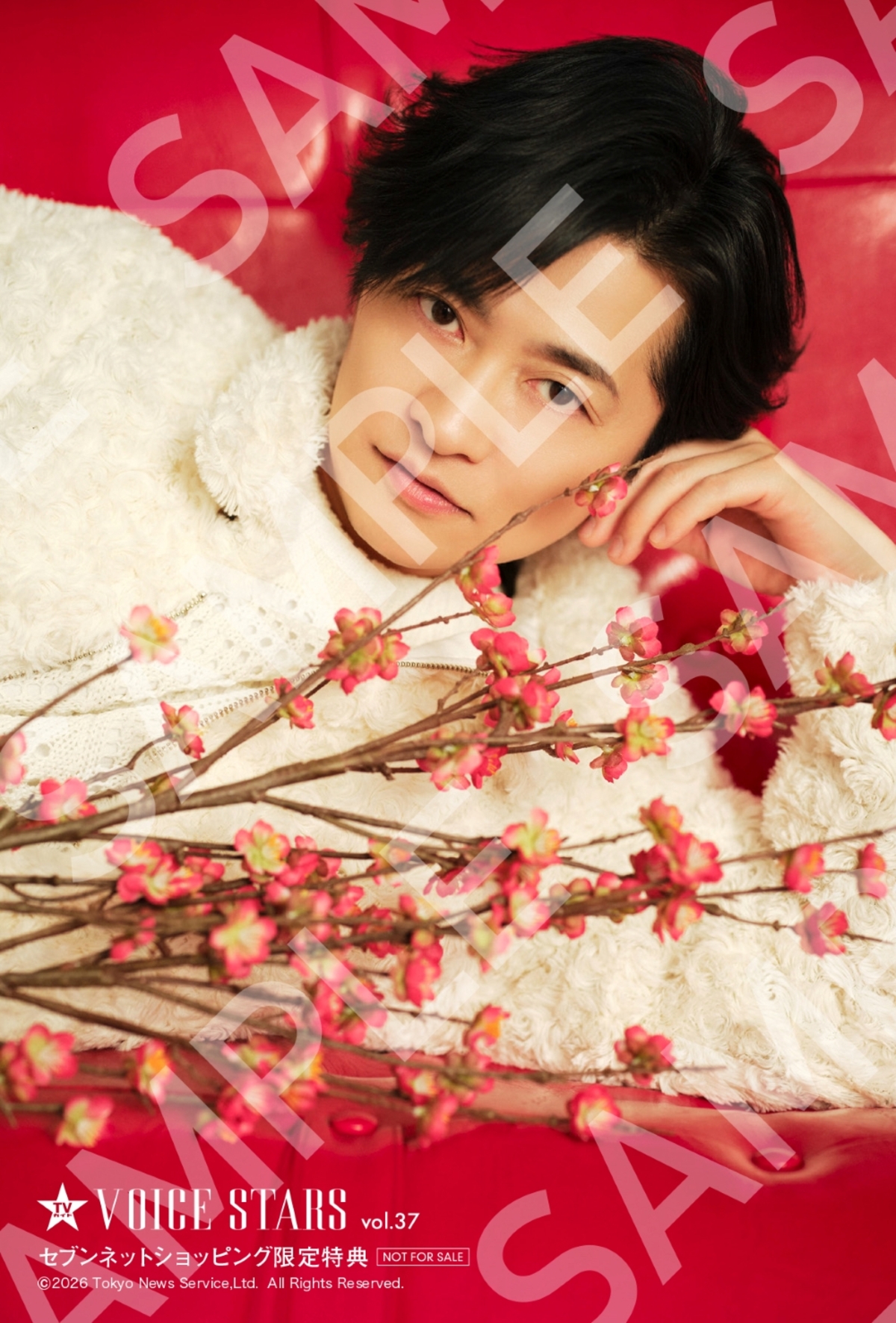 亀梨和也×佐藤拓也『TVガイドVOICE STARS』の画像