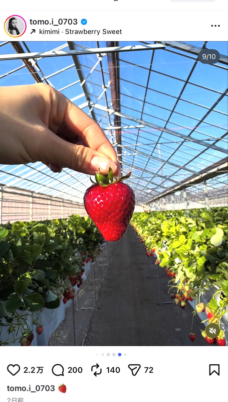 板野友美、いちご狩り姿が大好評の画像