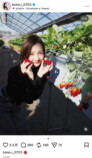 板野友美、いちご狩り姿が大好評の画像