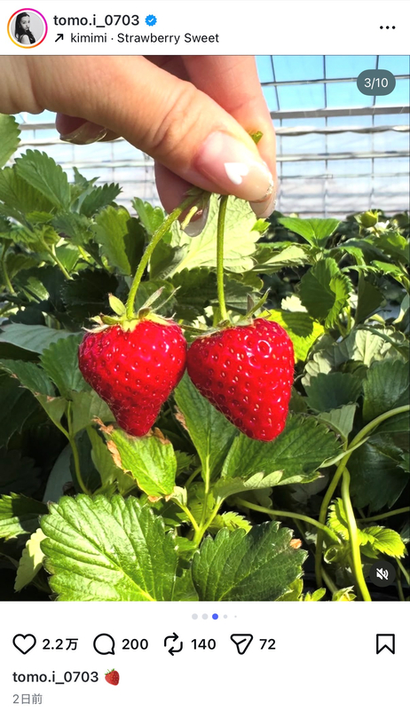 板野友美、いちご狩り姿が大好評の画像