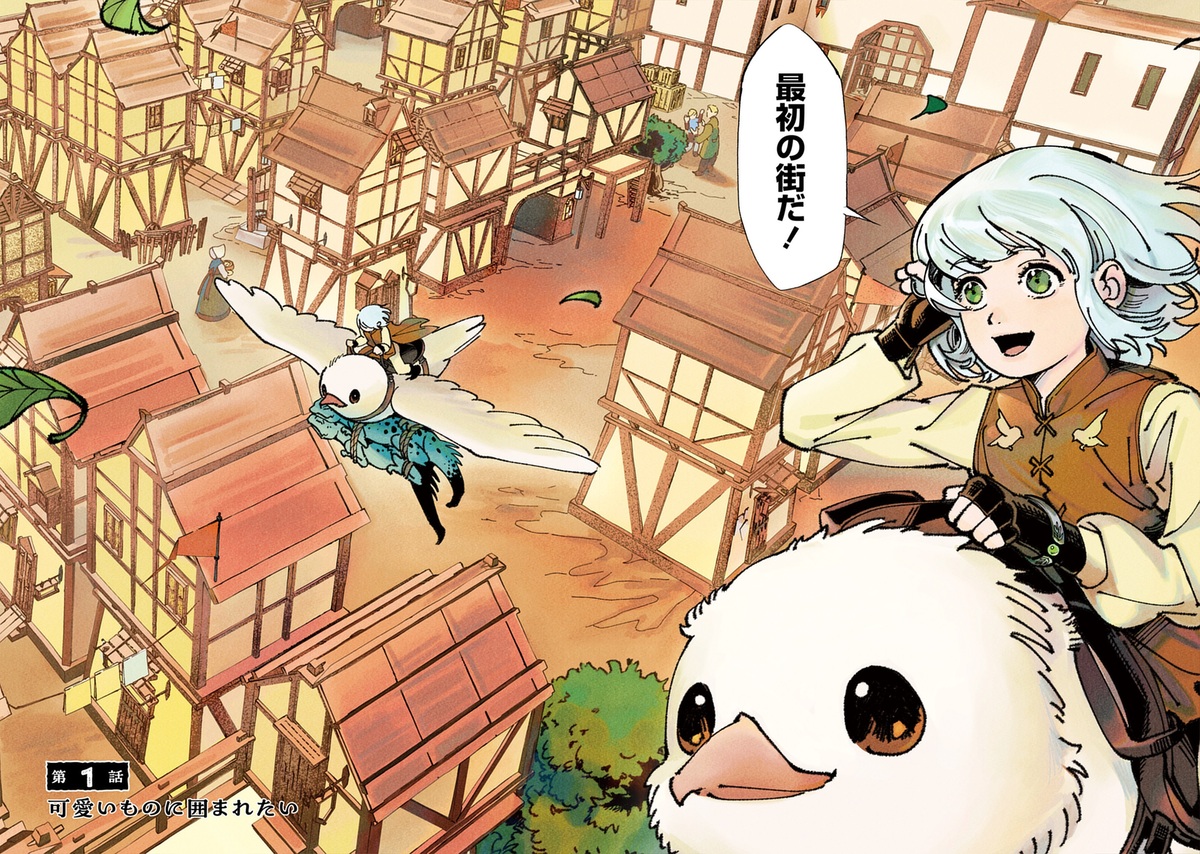 『小鳥ライダーは都会で暮らしたい』発売の画像