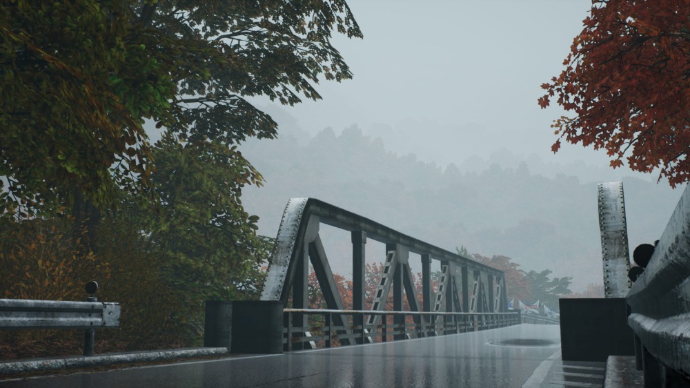 新コース「いろは坂(雨)
