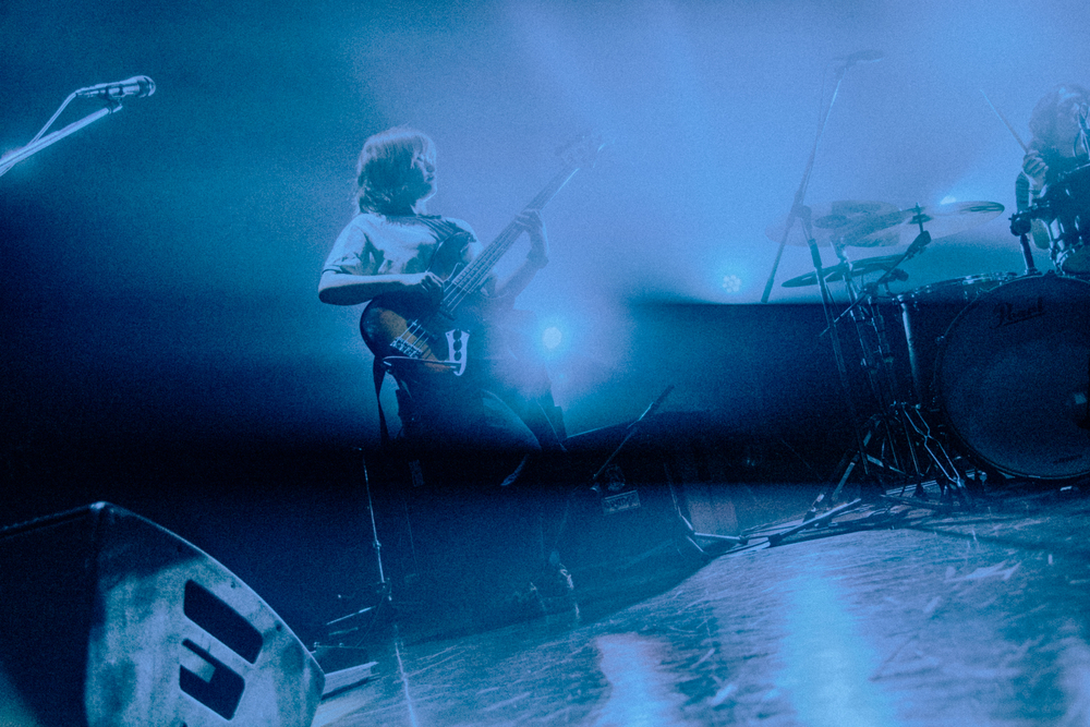 Nikoん ライブ写真