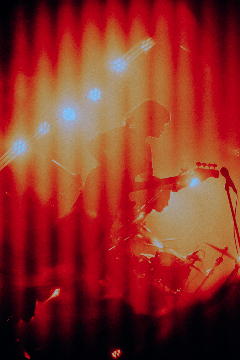 Nikoん ライブ写真