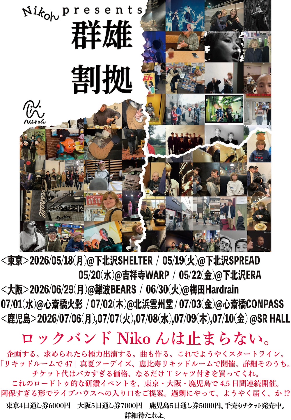 Nikoん フライヤー