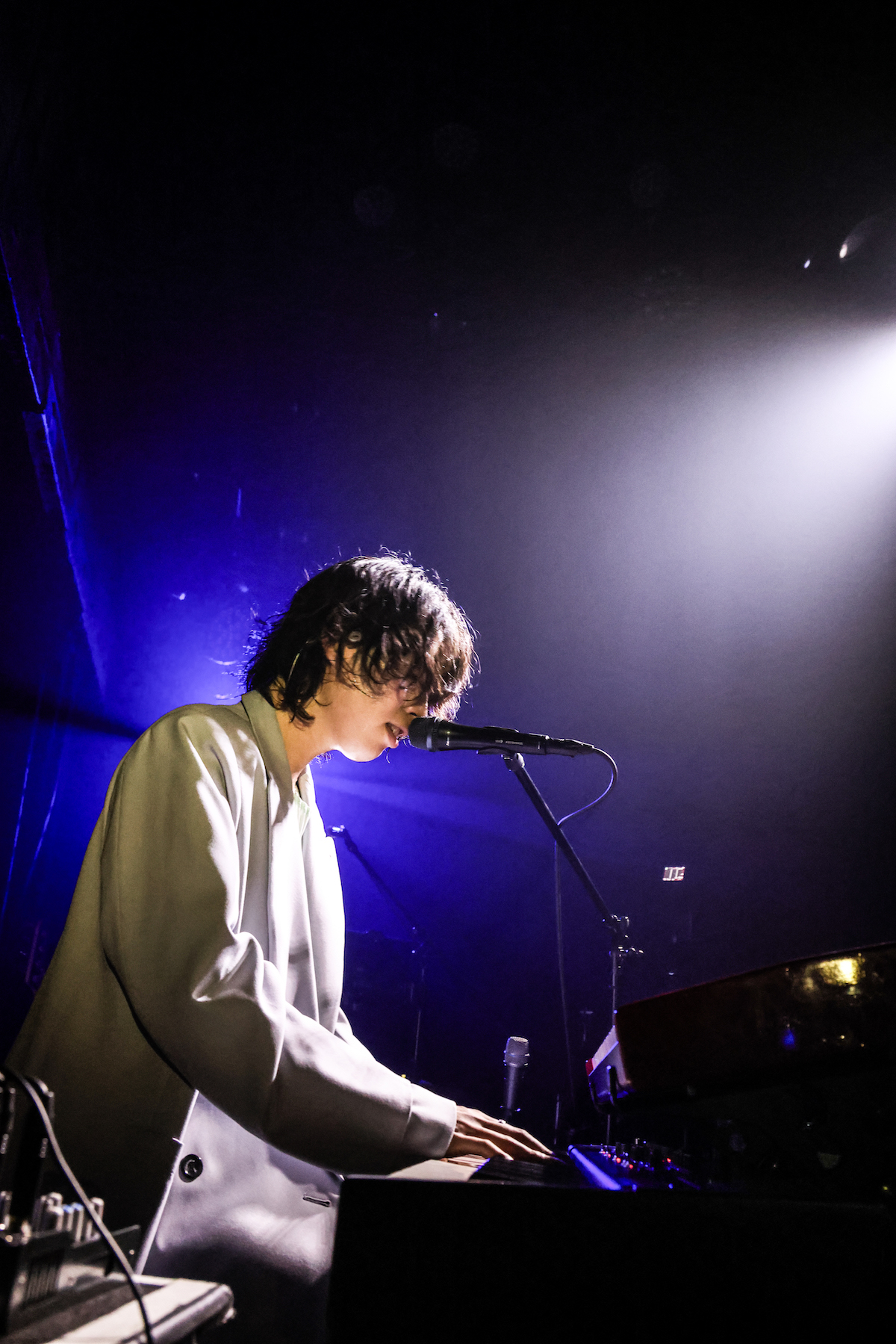 wapiti（撮影＝Tomoki Abe）