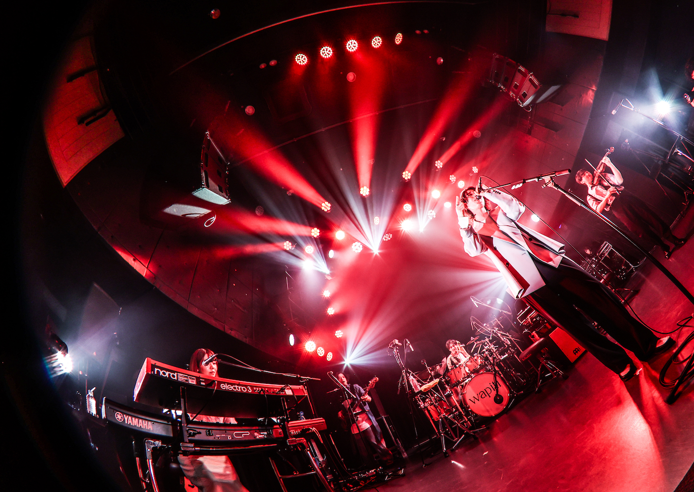 wapiti（撮影＝Tomoki Abe）