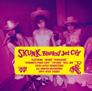 BLANKEY JET CITY『SKUNK』ジャケット写真