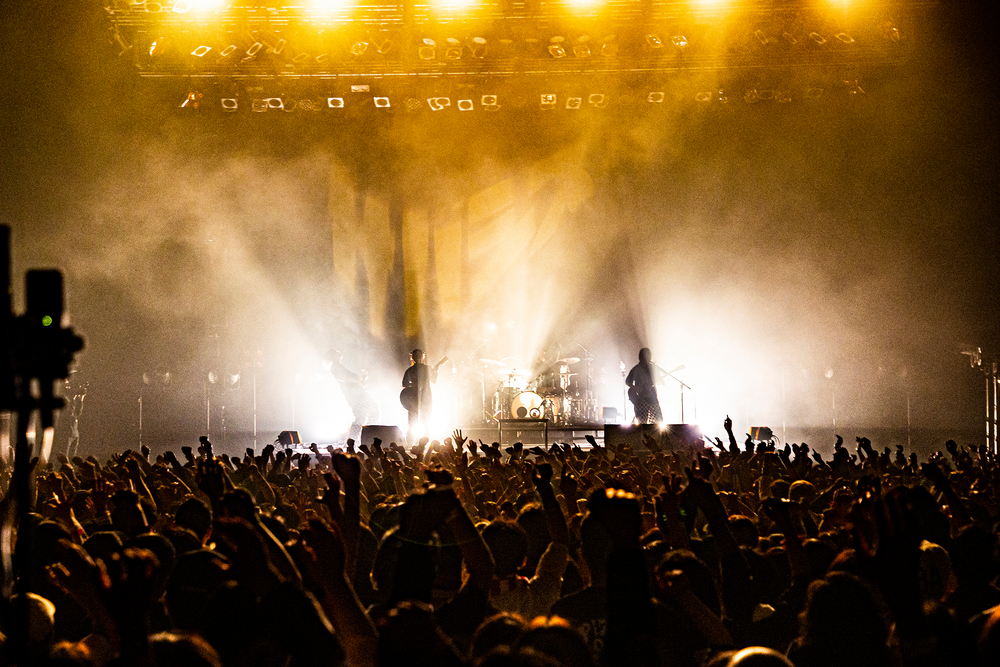 サバシスター ライブ写真