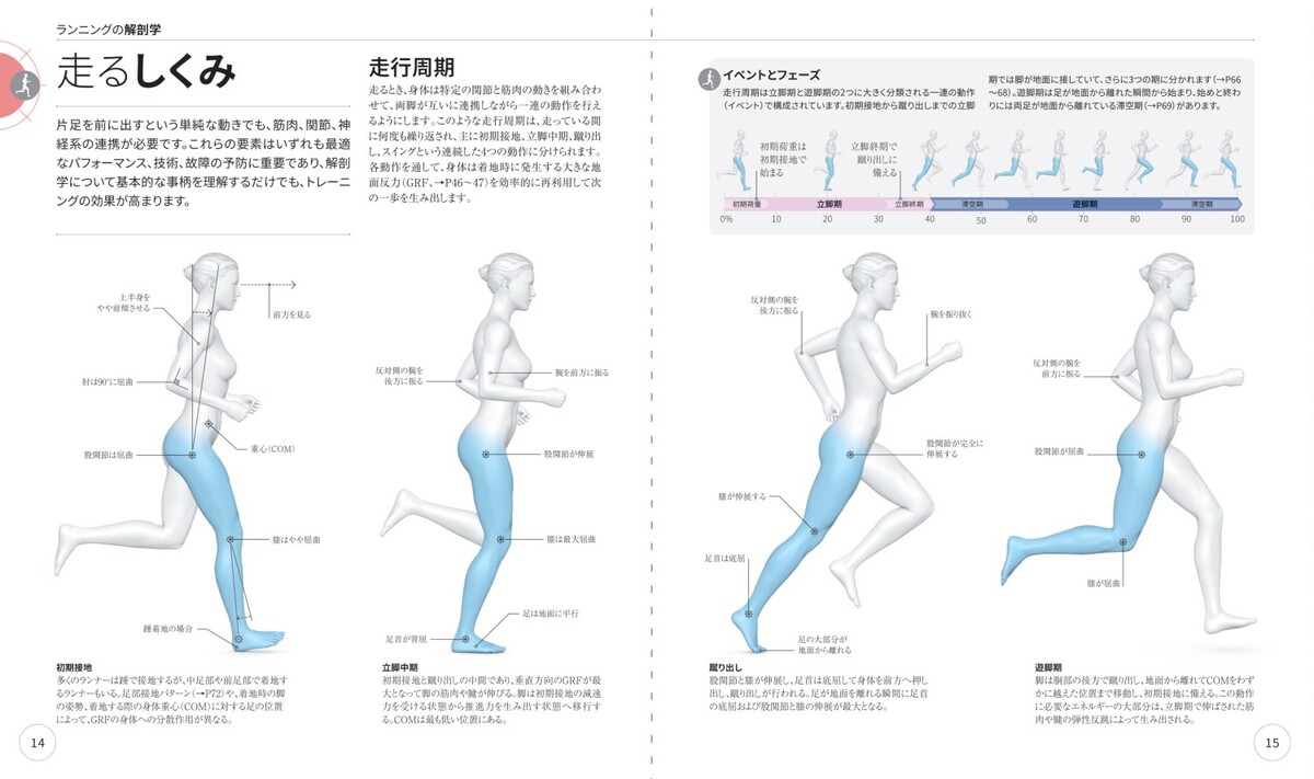 『サイエンス・オブ・ランニング』日本上陸の画像