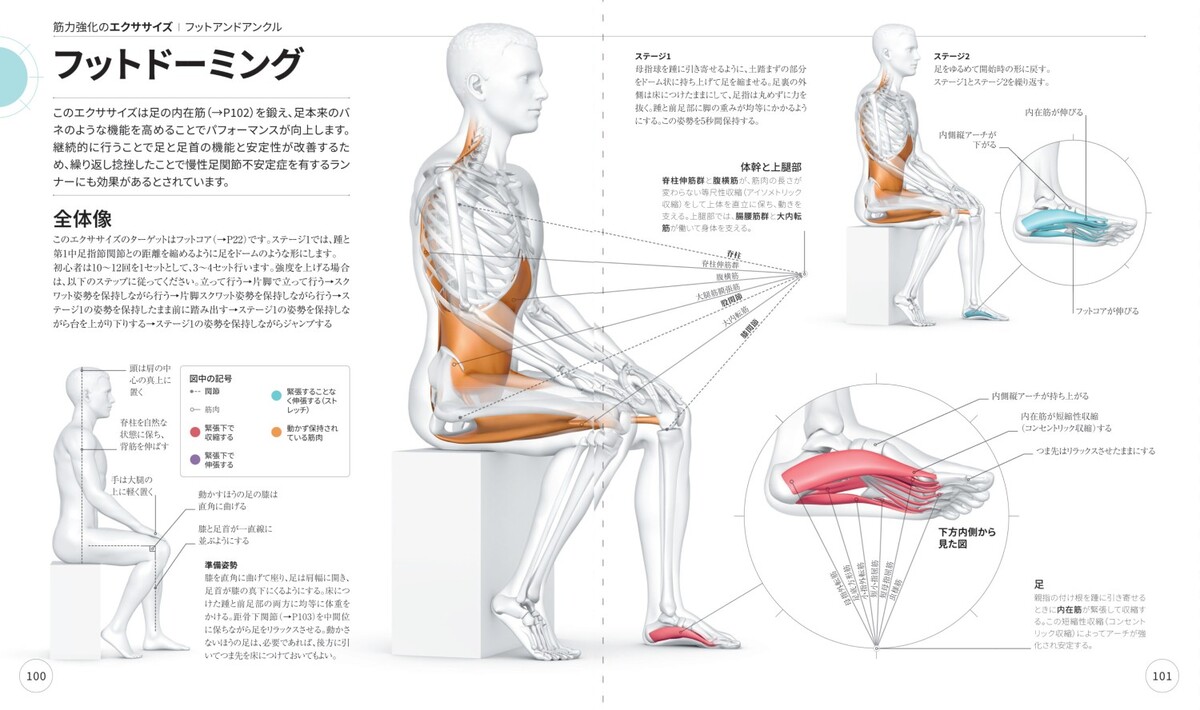 『サイエンス・オブ・ランニング』日本上陸の画像