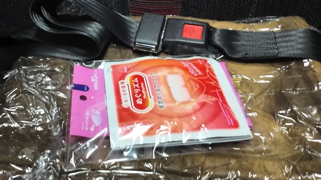 スーツが紹介した夜行バス『ドリームルリエ』