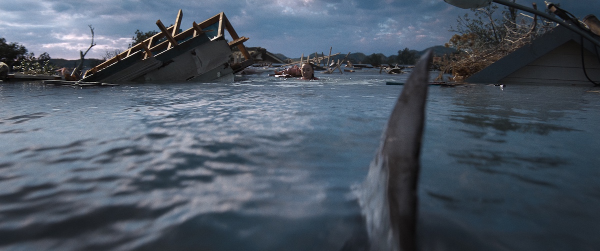 サバイバル映画『猛襲』の洗練された複雑性