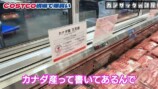 コストコで爆買いするカジサック