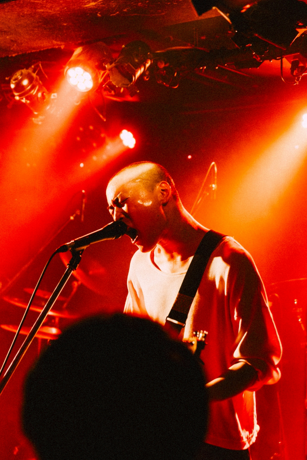 Tattletale ライブ写真