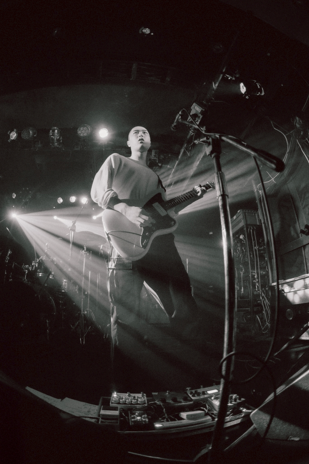 Tattletale ライブ写真