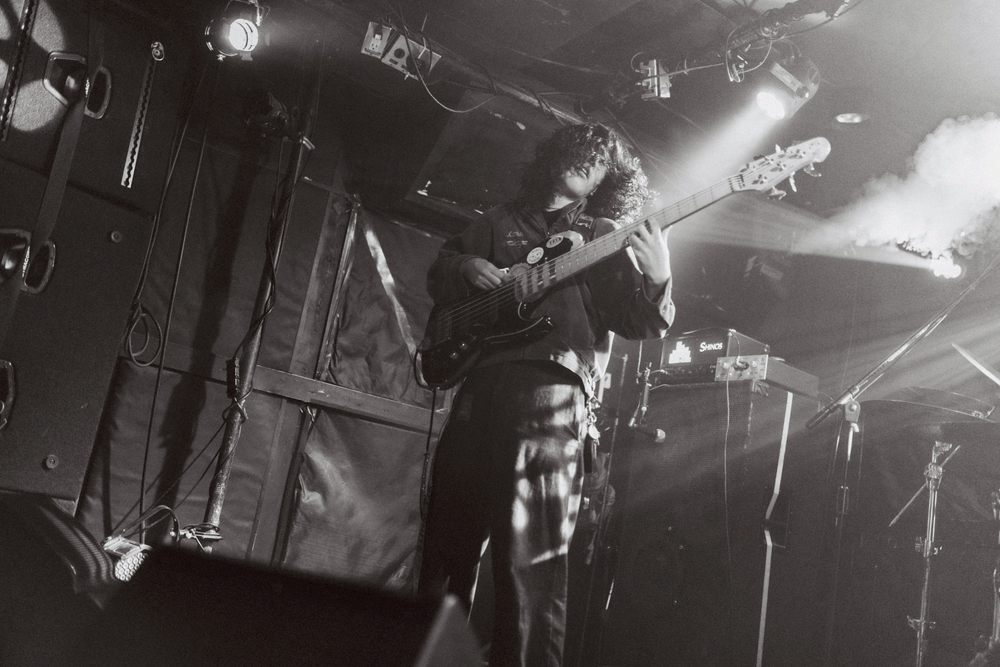 Tattletale ライブ写真