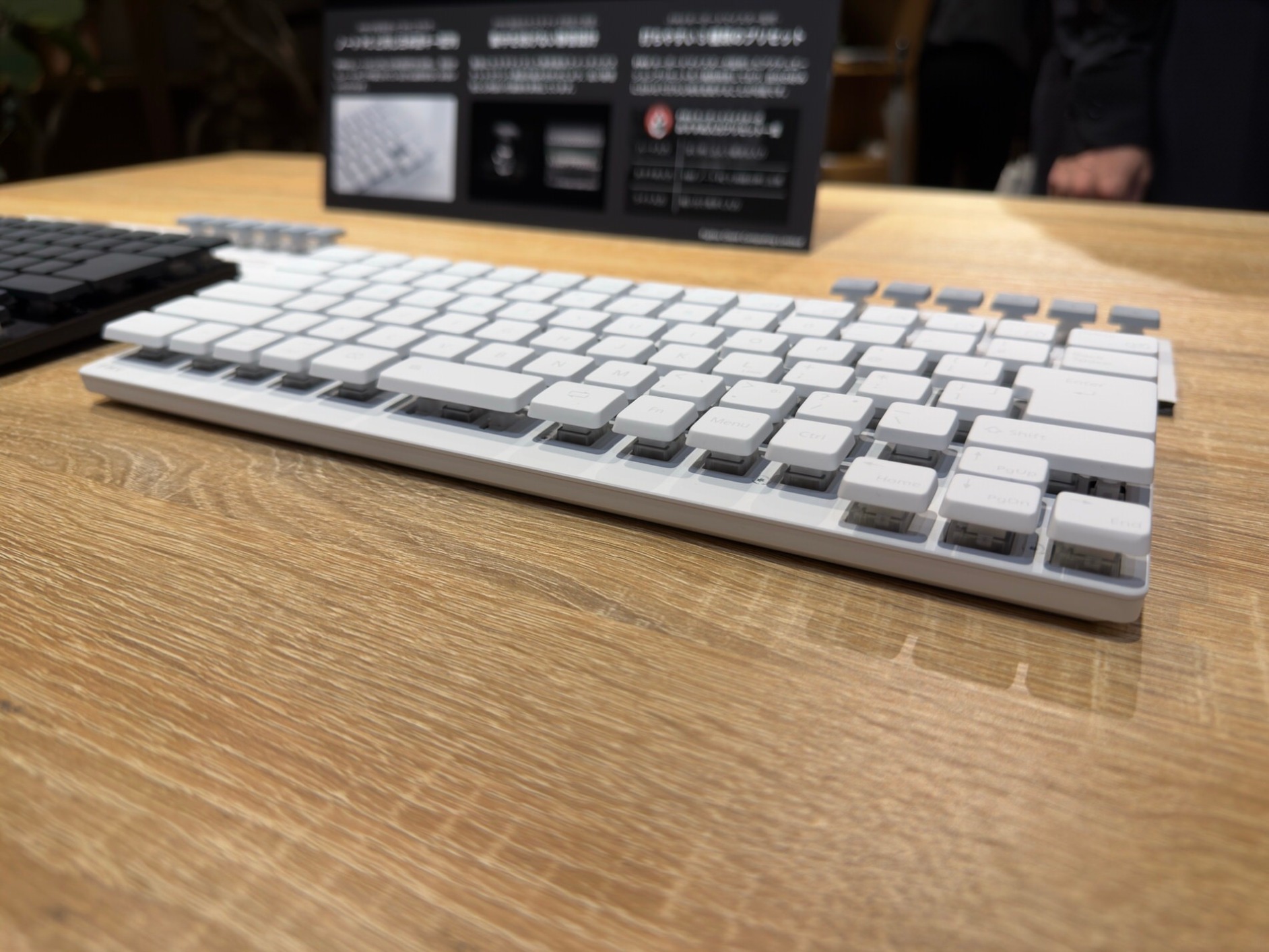 ラピトリ＆ガスケットマウント