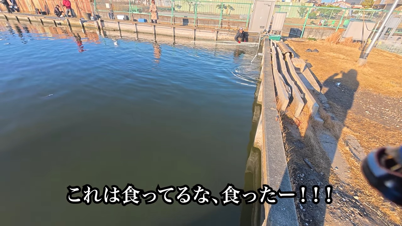 庭の池に70cm超え“怪物ニジマス”を放流の画像