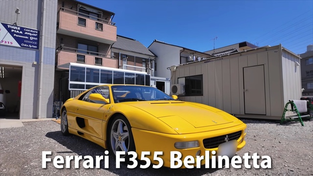 レーシングスーツを着用するあま猫