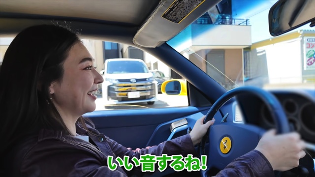 レーシングスーツを着用するあま猫