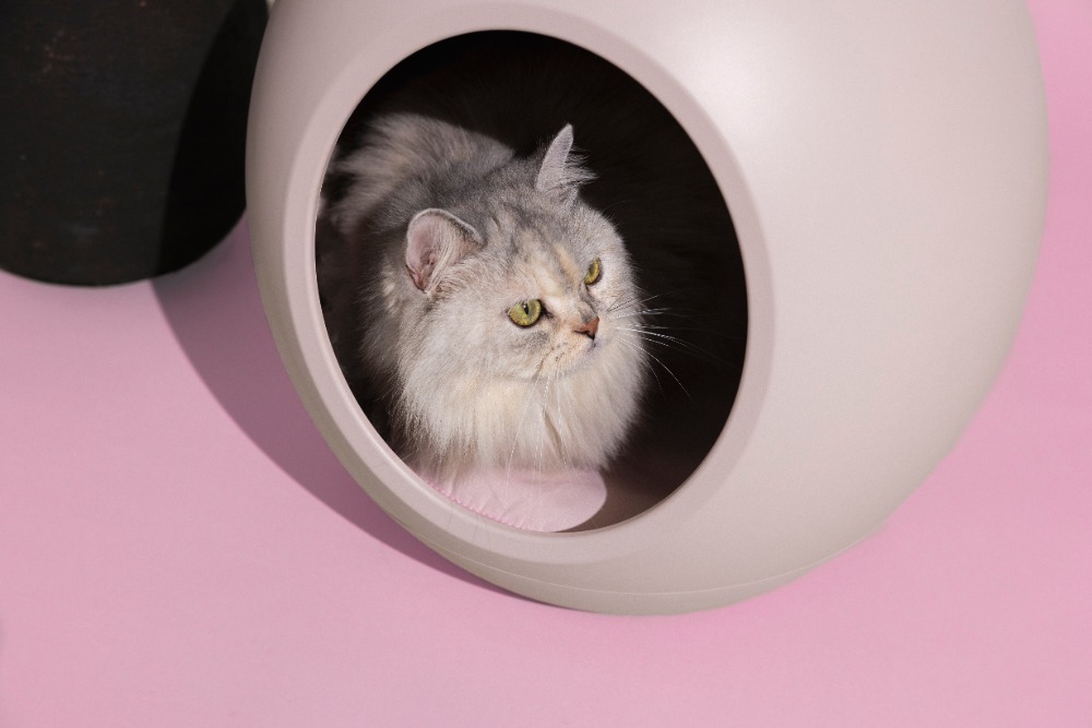 『neikonu ROOM』　ピンクベージュ特典