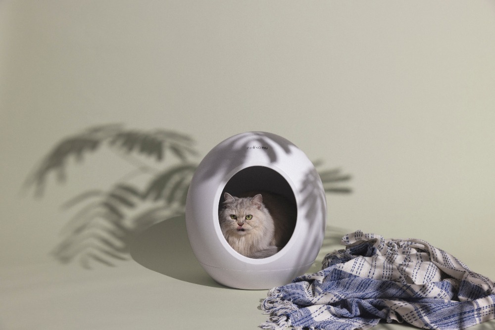 『neikonu ROOM』　使用イメージ