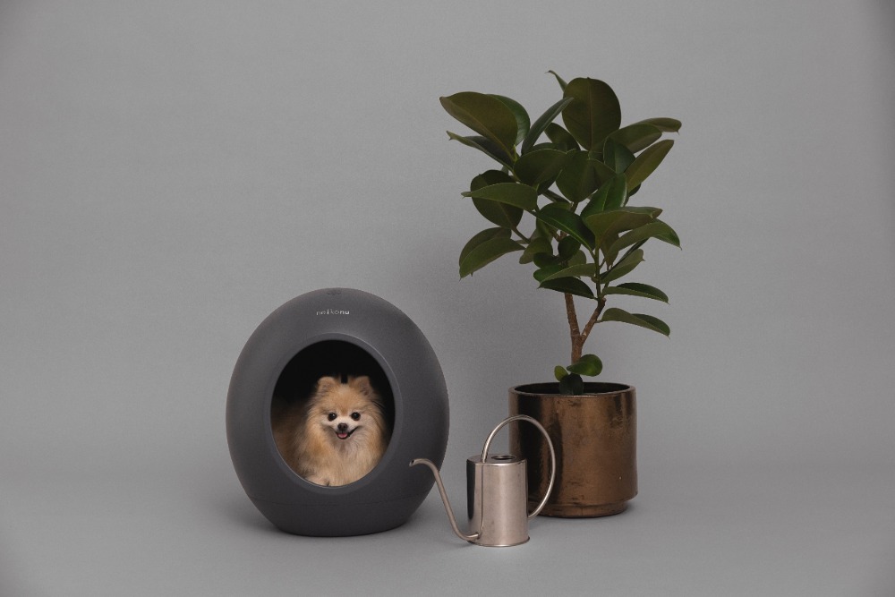 『neikonu ROOM』使用イメージ