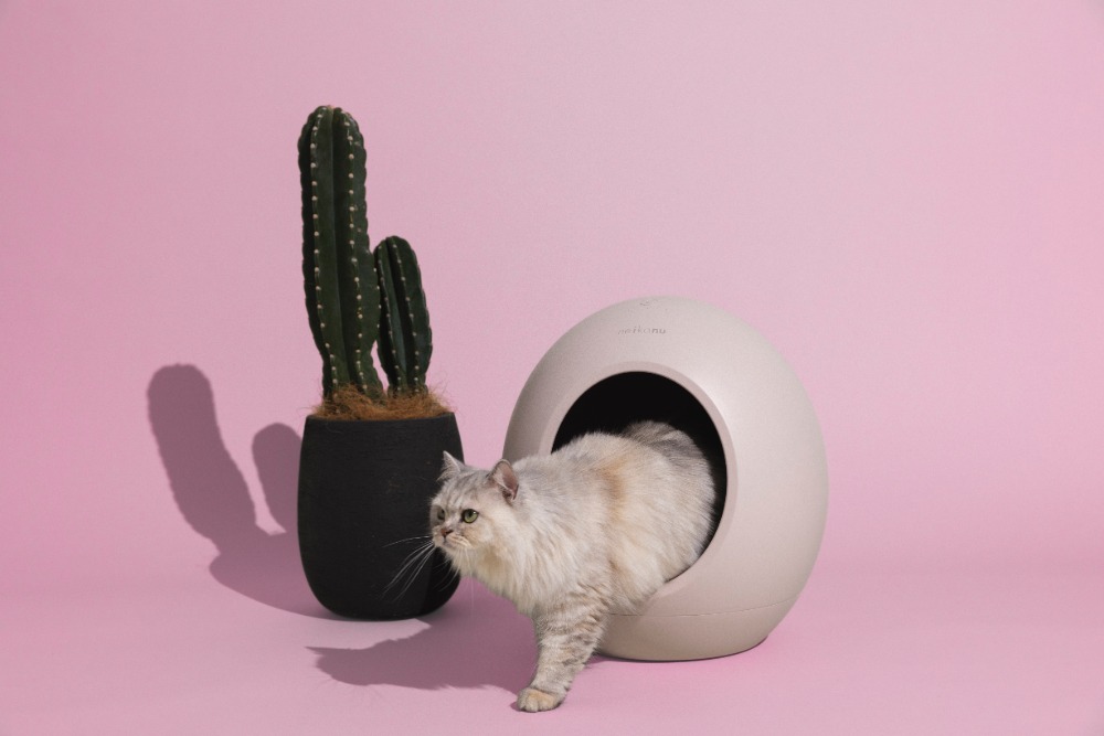 『neikonu ROOM』　使用イメージ