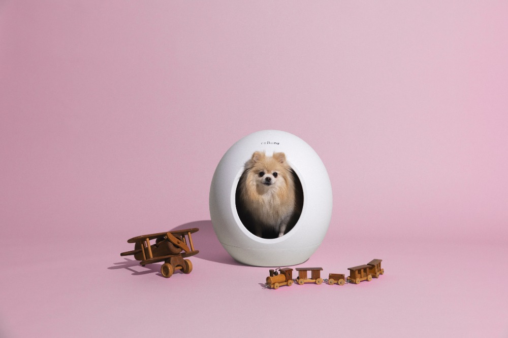 『neikonu ROOM』使用イメージ