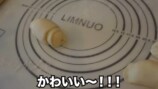パン作りをする指原莉乃・大家志津香・松岡はな