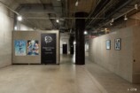 『Project Circles』レポートの画像