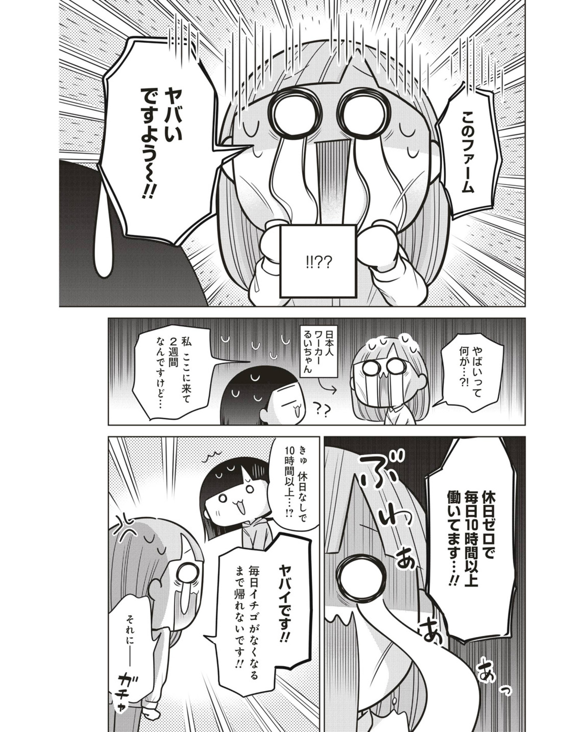 リアルな海外労働『ブラックワーホリ日記』の画像
