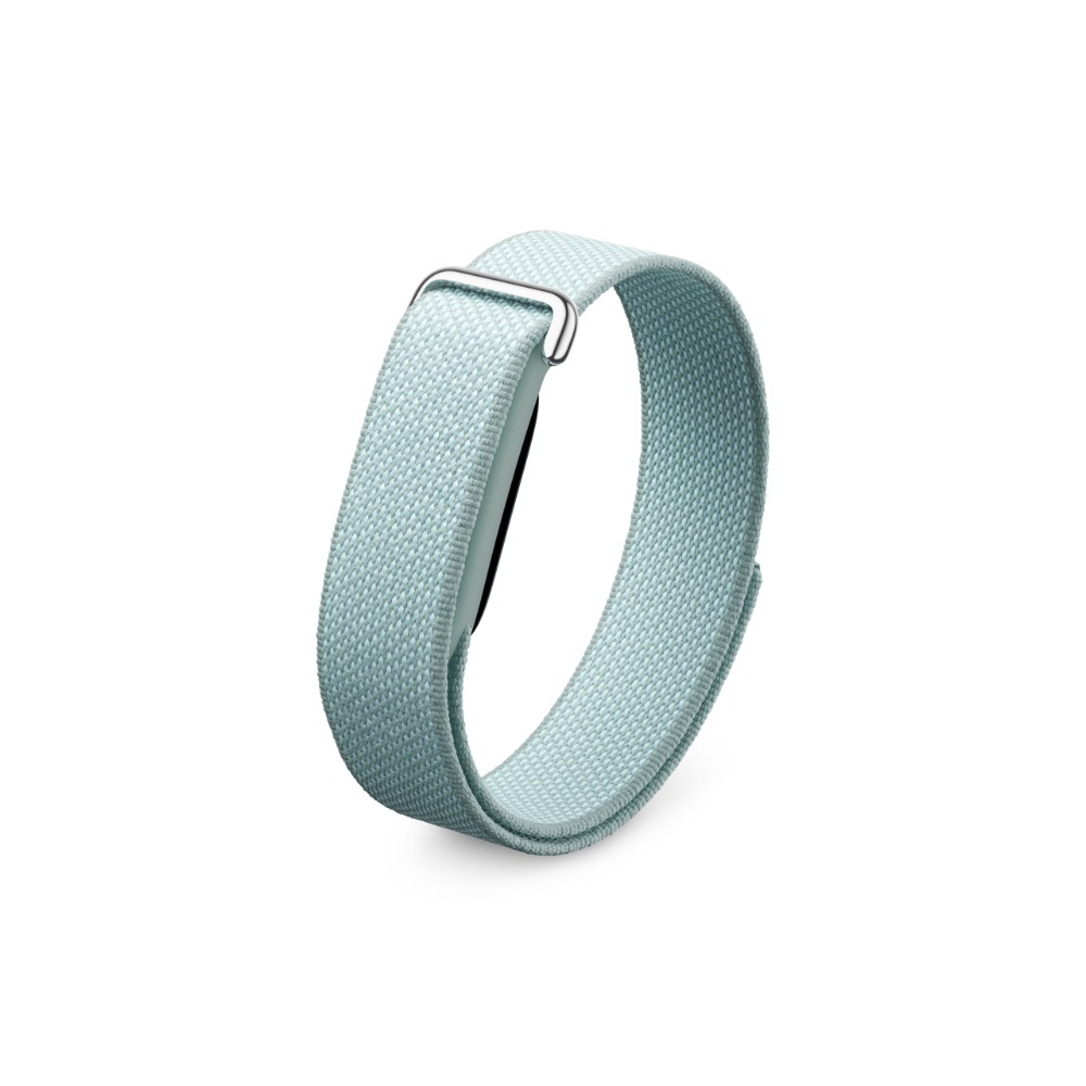 画面なし『Google Fitbit Air』発売の画像